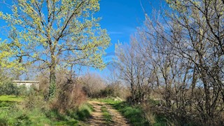 Land - Sale - ISTARSKA - SVETI LOVREČ - SVETI LOVREČ PAZENATIČKI