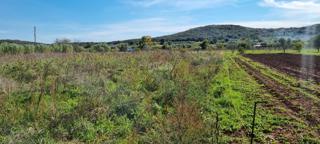 Land - Sale - ISTARSKA - ROVINJ - ROVINJ