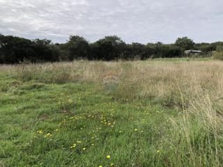 Land - Sale - ISTARSKA - PULA - PULA