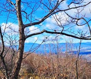 Land - Sale - PRIMORSKO-GORANSKA - BAKAR - HRELJIN