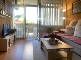 Flat - Sale - PRIMORSKO-GORANSKA - RIJEKA - RIJEKA