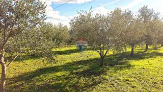 Land - Sale - ISTARSKA - UMAG - MATERADA