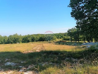 Land - Sale - ISTARSKA - TINJAN - KRINGA