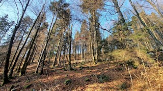 Land - Sale - PRIMORSKO-GORANSKA - DELNICE - DELNICE