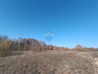 Land - Sale - ISTARSKA - SVETVINČENAT - SMOLJANCI