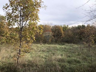 Land - Sale - ISTARSKA - MARČANA - RAKALJ