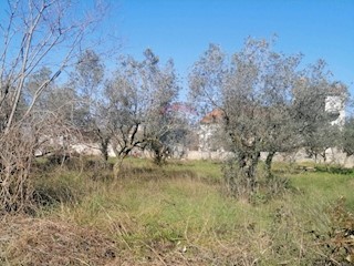 Land - Sale - ISTARSKA - VODNJAN - GALIŽANA