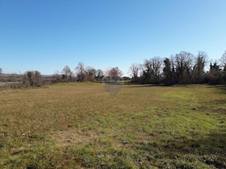 Land - Sale - ISTARSKA - MARČANA - ŠEGOTIĆI