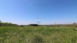 Land - Sale - ISTARSKA - TAR-VABRIGA - TAR