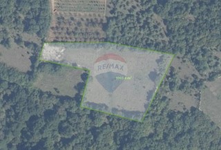 Grundstück - Verkauf - ISTARSKA - KANFANAR - SOŠIĆI