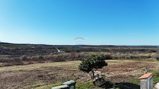 Land - Sale - ISTARSKA - BUJE - BUJE