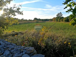Land - Sale - ISTARSKA - SVETVINČENAT - REŽANCI