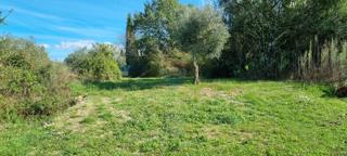 Land - Sale - ISTARSKA - ROVINJ - ROVINJ