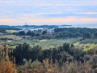 Land - Sale - ISTARSKA - ROVINJ - ROVINJ