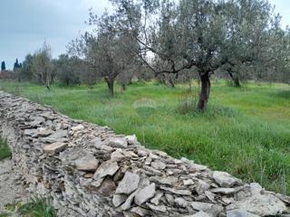 Land - Sale - ISTARSKA - VODNJAN - VODNJAN