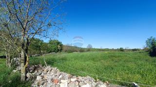 Land - Sale - ISTARSKA - BALE - BALE