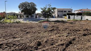 Grundstück - Verkauf - ISTARSKA - SVETI LOVREČ - SVETI LOVREČ PAZENATIČKI