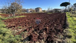 Grundstück - Verkauf - ISTARSKA - KAŠTELIR - LABINCI - KAŠTELIR