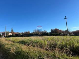 Grundstück - Verkauf - ISTARSKA - TINJAN - TINJAN