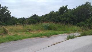 Land - Sale - ISTARSKA - BUJE - BUJE