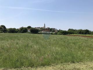 Grundstück - Verkauf - ISTARSKA - VIŠNJAN - VIŠNJAN