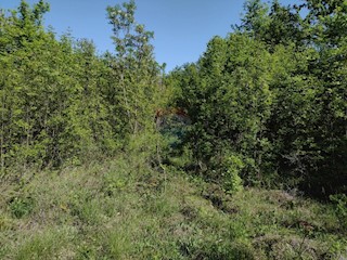 Land - Sale - ISTARSKA - KANFANAR - KANFANAR