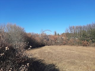 Land - Sale - ISTARSKA - SVETVINČENAT - SVETVINČENAT