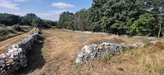 Grundstück - Verkauf - ISTARSKA - SVETI PETAR U ŠUMI - SVETI PETAR U ŠUMI