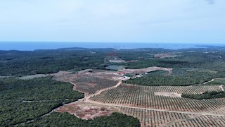Land - Sale - ISTARSKA - BALE - BALE