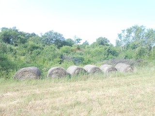 Land - Sale - ISTARSKA - MARČANA - PERUŠKI
