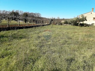 Land - Sale - ISTARSKA - MARČANA - ŠEGOTIĆI