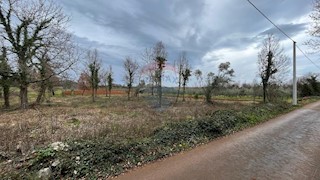 Land - Sale - ISTARSKA - TAR-VABRIGA - TAR