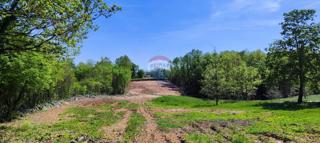 Land - Sale - ISTARSKA - BARBAN - ROJNIĆI