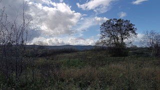 Land - Sale - KARLOVAČKA - OGULIN - OGULIN