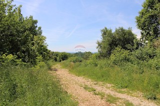 Zemljište - Prodaja - ISTARSKA - TAR-VABRIGA - TAR