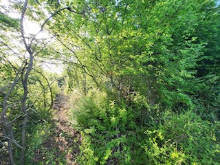 Land - Sale - ISTARSKA - BALE - BALE