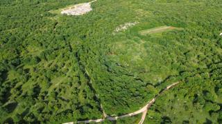 Land - Sale - ISTARSKA - BALE - BALE