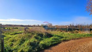 Land - Sale - ISTARSKA - UMAG - UMAG