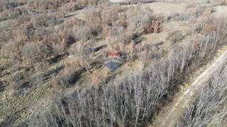 Land - Sale - ISTARSKA - POREČ - BADERNA