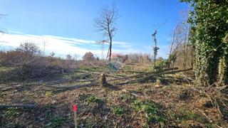 Land - Sale - ISTARSKA - UMAG - UMAG