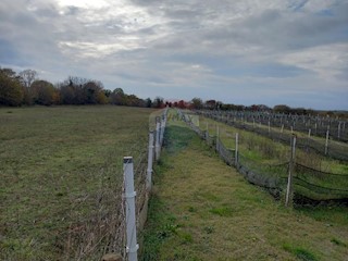 Land - Sale - ISTARSKA - MARČANA - KRNICA