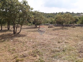 Land - Sale - ISTARSKA - SVETVINČENAT - JURŠIĆI