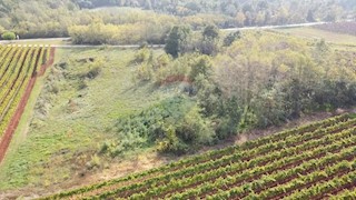 Grundstück - Verkauf - ISTARSKA - VIŽINADA - VIŽINADA