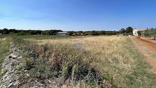 Land - Sale - ISTARSKA - SVETI LOVREČ - SVETI LOVREČ PAZENATIČKI