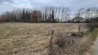 Land - Sale - ISTARSKA - TINJAN - TINJAN