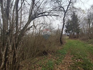 Land - Sale - KARLOVAČKA - OGULIN - OGULIN