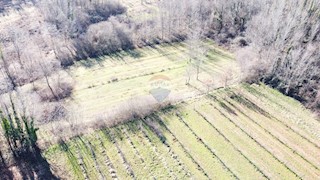 Land - Sale - ISTARSKA - LABIN - LABIN