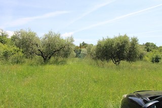 Grundstück - Verkauf - ISTARSKA - TAR-VABRIGA - TAR