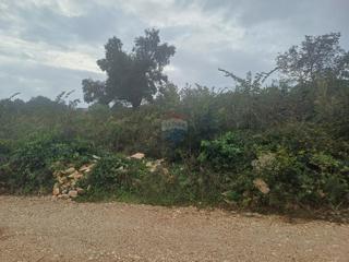 Land - Sale - ISTARSKA - LIŽNJAN - LIŽNJAN