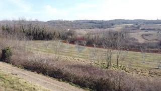 Land - Sale - ISTARSKA - VIŽINADA - VELIĆI